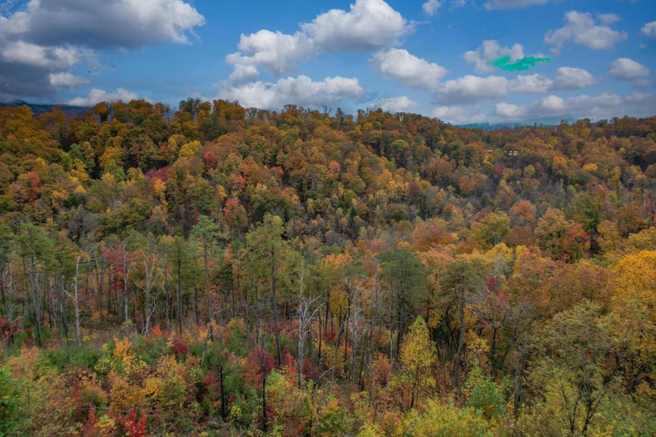 The Overlook - '21 Cabin - Gorgeous Unobstructed Views - Fire Pit Table - Gamerm - Hottub - Xbox - Lots Of Bears Gatlinburg Exteriér fotografie